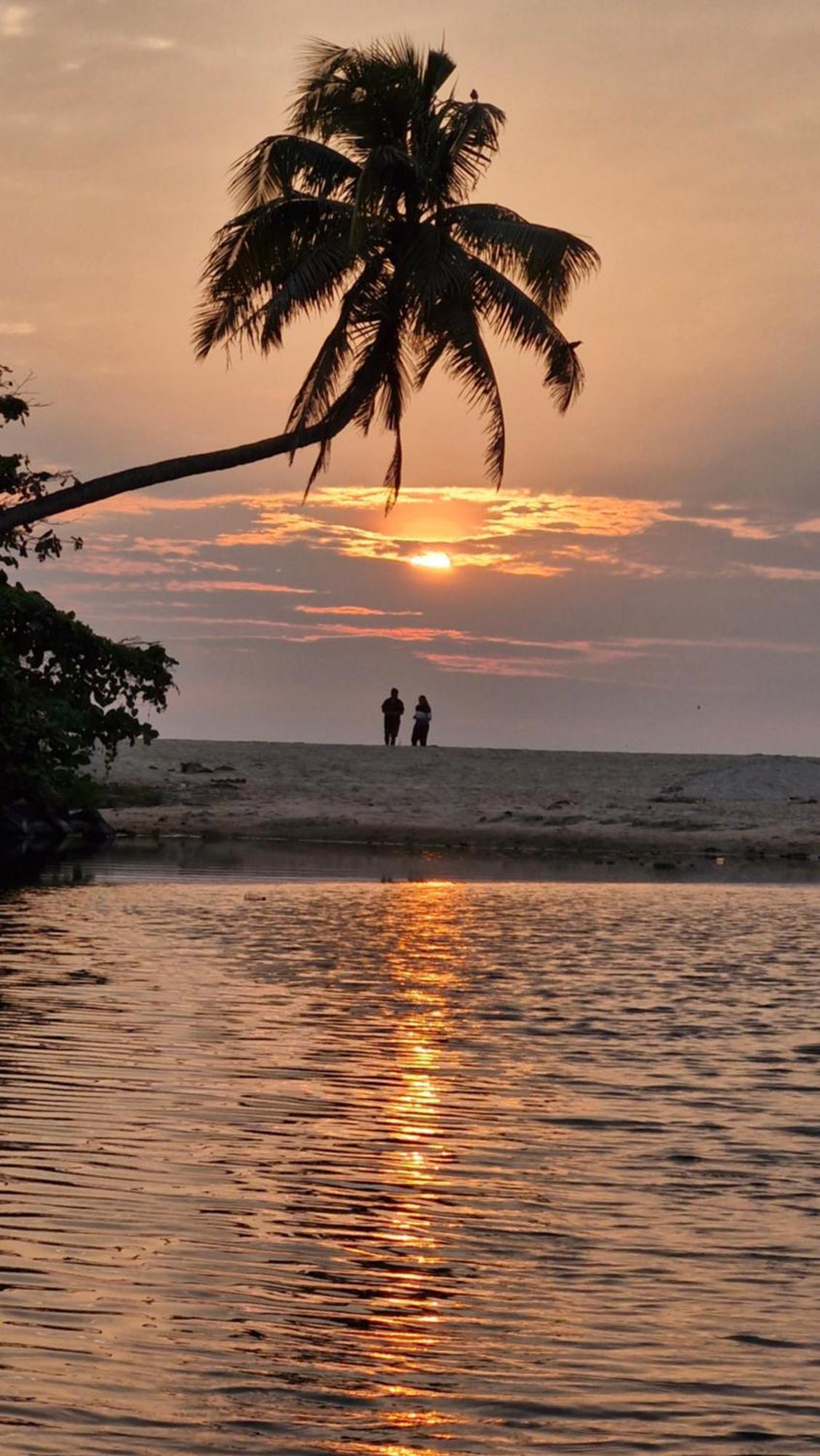 Bed and Breakfast Gypsea Marari Alappuzha Экстерьер фото